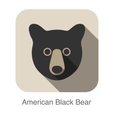 American black bear face flat icon design Animal icons series N2