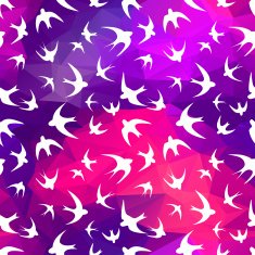 swallow and triangle N2
