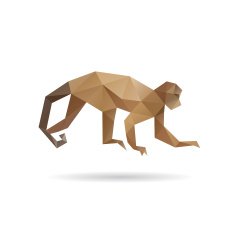 Monkey abstract isolated on a white background N3