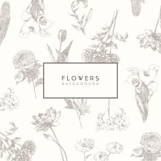 Trendy collection hand drawn flowers floral set N2