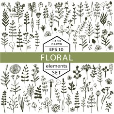 Vector set of floral elements painted by hand N2