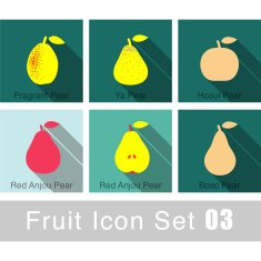 Fruit flat icon design N17