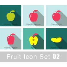 Fruit flat icon design N18