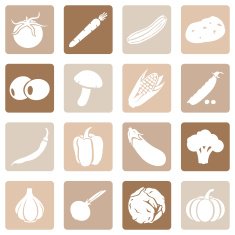 Vector Set of Vegetables Icons N21