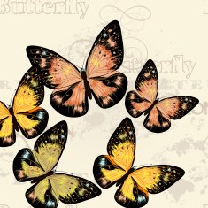 Fashion vector pattern with butterflies N3