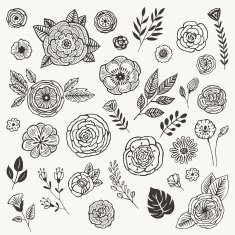Summer flowers N24