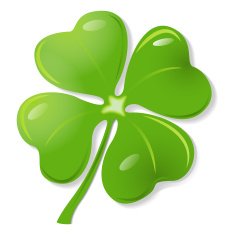 Green clover vector