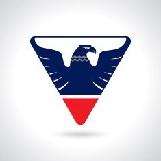 Graceful soaring eagle logo with outstretched wings N8