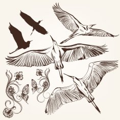 Set of vector hand drawn birds and swirls