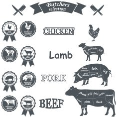 vector diagram cut carcasses of chicken pig cow lamb N2