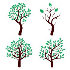 Set of vector tree with green leafs N2