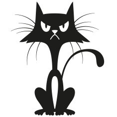 Displeased Black Cat