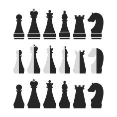 Set of chess