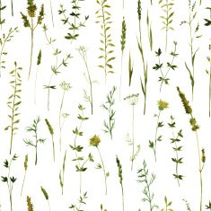 seamless pattern with flowers and grass N7