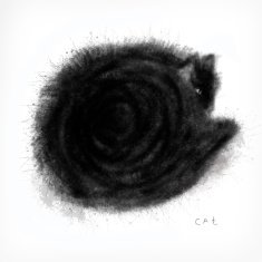 Cat N74
