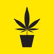 marijuana Cannabis icons vector illustration eps 10 N5