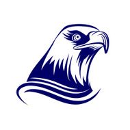 Head Of Eagle N2