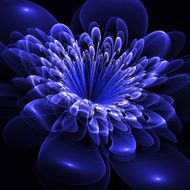 Beautiful blue flower on black background Computer generated