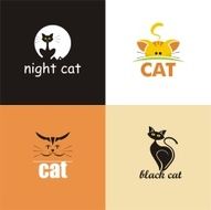 signs and symbols cat