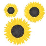 Sunflowers N15
