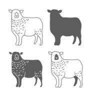 Domestic Animal Sheep Vector