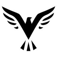 black bird icon N3