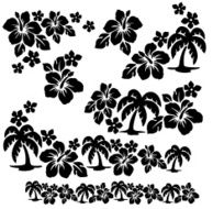 palm and Hibiscus