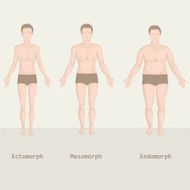 man body type from fat to fitness before and after