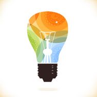 Vector multicolor isolated electric bulb