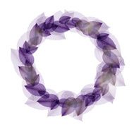 Abstract nature background with leaves Vector iilustration
