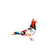 Pigeon silhouette vector background