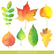 vector watercolor autumn leaves N2