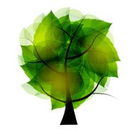 Tree with green leaves Vector illustration N2