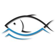 design of fish