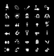 Food Allergy Icons N2