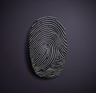 Flat metallic logo fingerprint