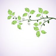Green branch Seasonal background N2
