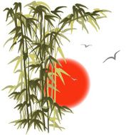 Bamboo on sunset background