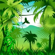 jungle N9