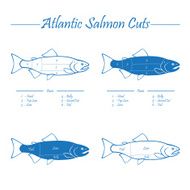 Atlantic salmon cuts diagram