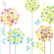 Dandelions N24