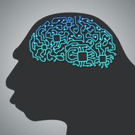 hi-tek brain