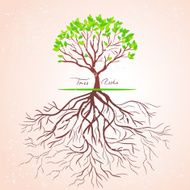 tree roots N2