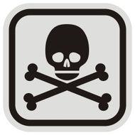 Skull Frame N2