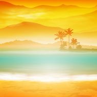 Background with sea and palm trees Sunset time