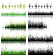 Big Set of Green and Black Grass isolated on white