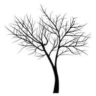 Trees with dead branch N155
