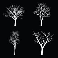 Trees with dead branch N156