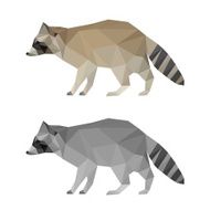 Abstract polygonal geometric triangle raccoon set isolated on white background