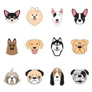 dogs collection vector